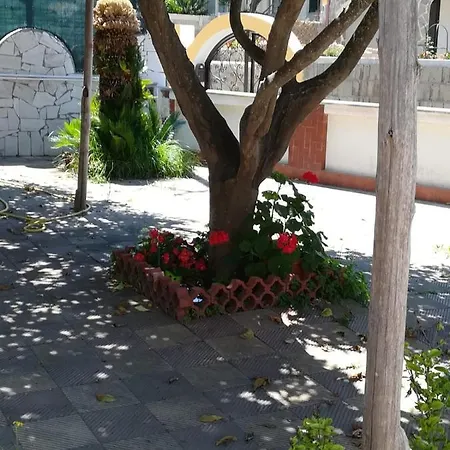 Casa Rosa Tatil Evi Redang Island