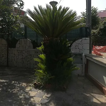 Casa Rosa Tatil Evi *